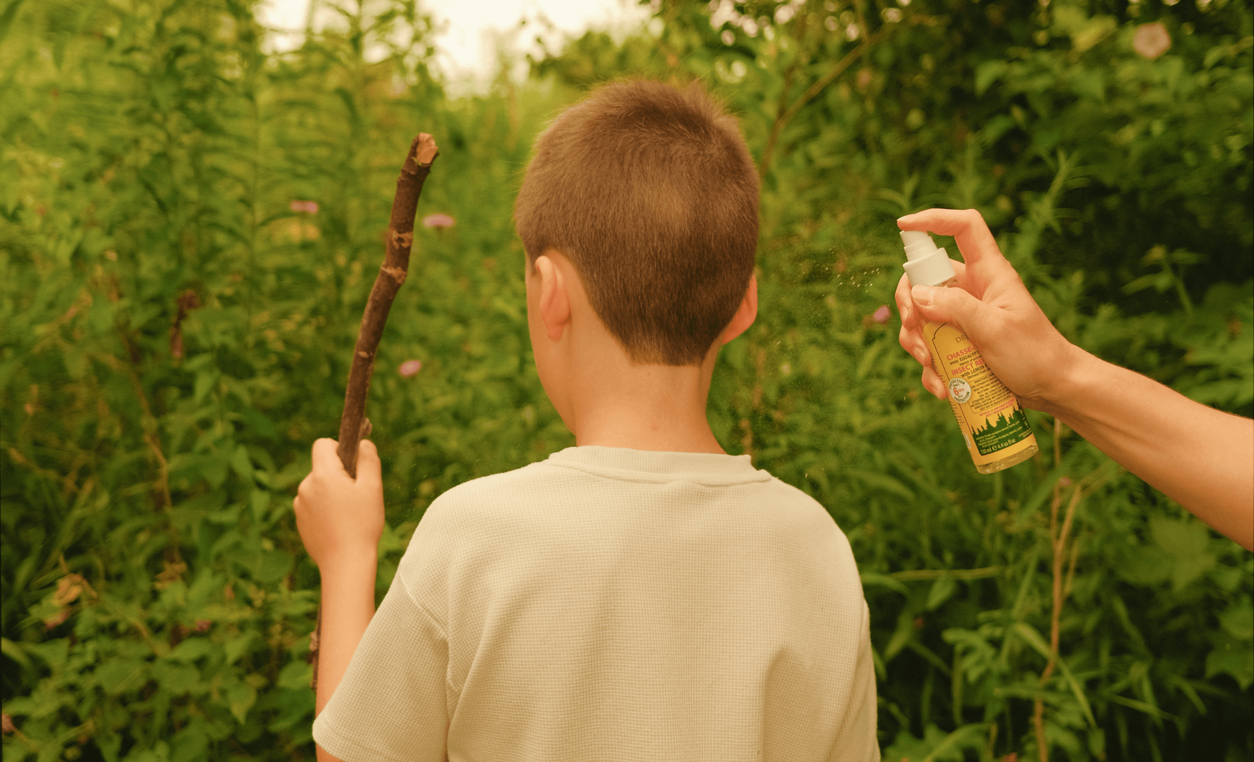 Les piqûres d’insectes chez les enfants : information et conseils aux parents